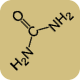 Protein Urine Tests